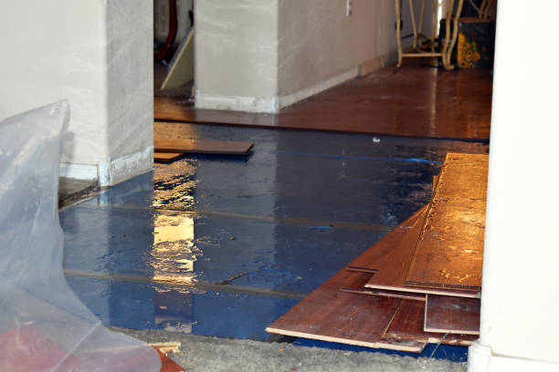 Professional Burst Pipe Cleanup technician working in Ridgewood, NY